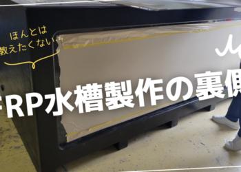 白　写真　驚き　YouTubeサムネイル